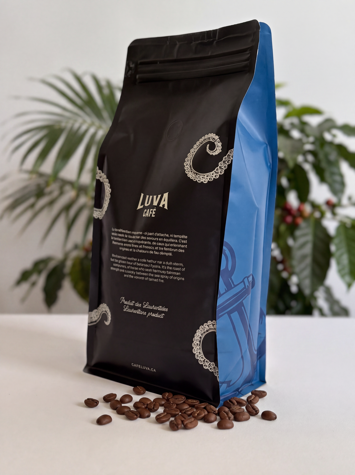SERRACHEFFE 1kg