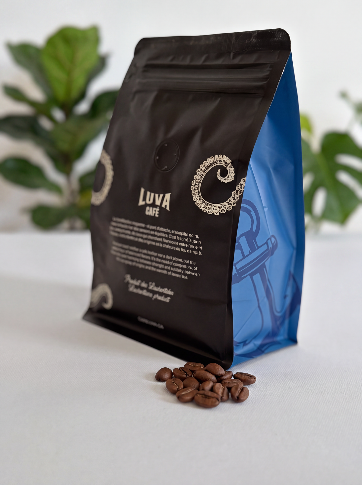 SERRACHEFFE 300g - En grains