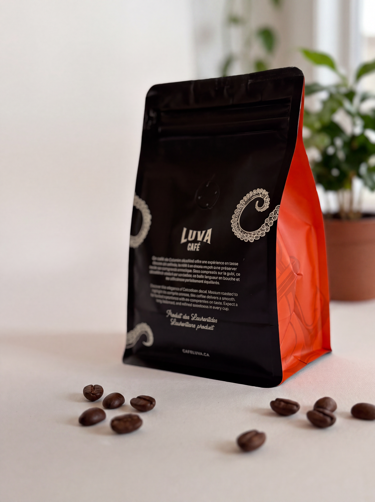 L'île Cachée 300g - En grains