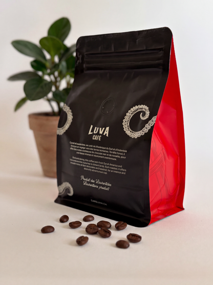 Le Corsaire 300g - En grains